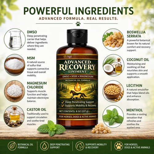 Advanced Recovery Liniment for Horses, Dogs & Active Animals | Veterinary Liniment Gel | DMSO, MSM, Magnesium & Castor Oil Liniment for Joint & Muscle Pain