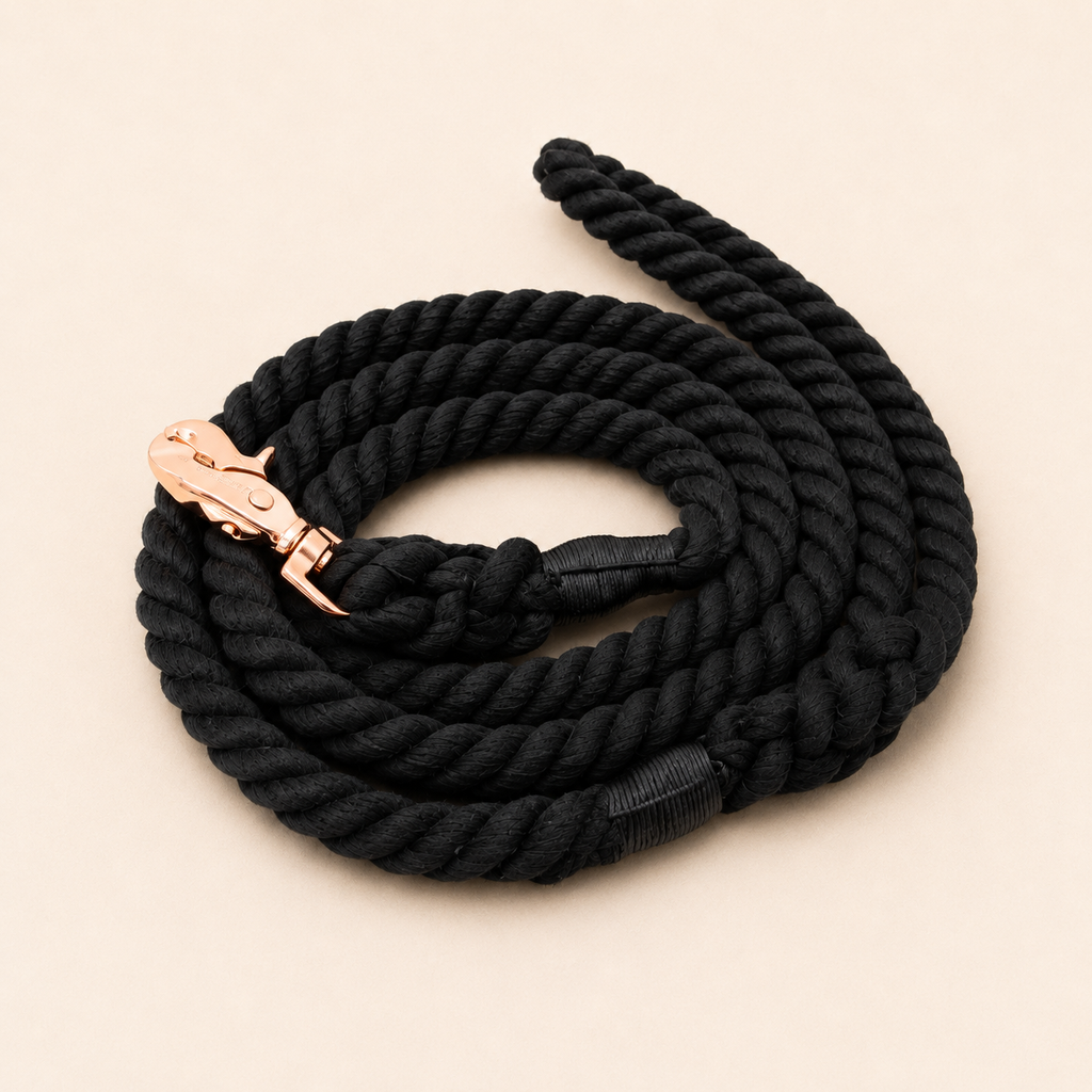 Rope Leash - Noir