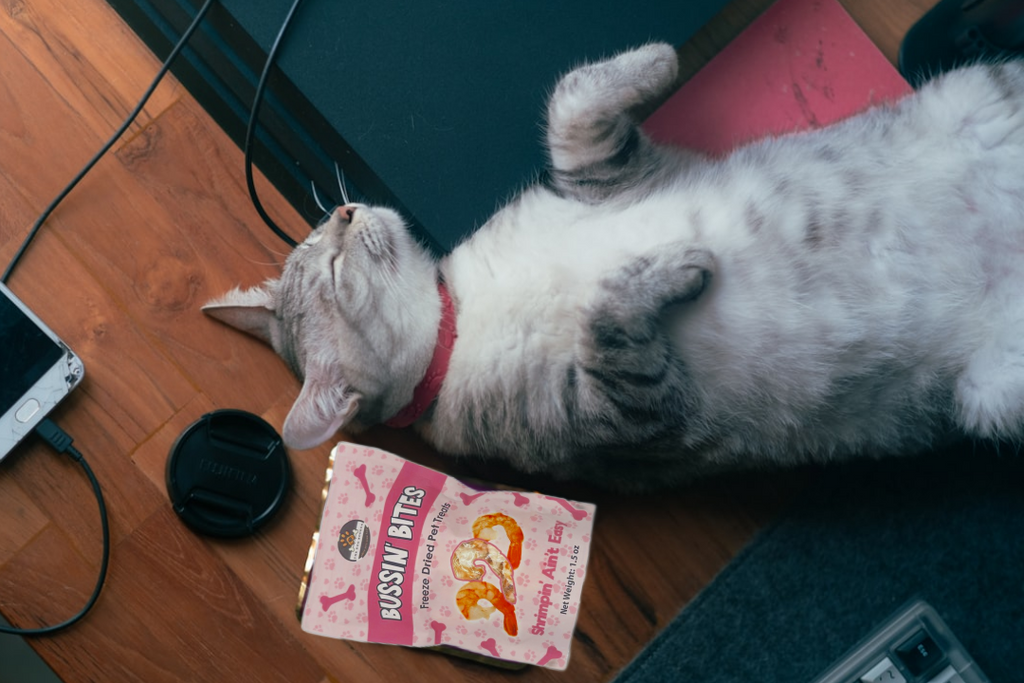 Shrimp - Single Ingredient, High Value Freeze-Dried Training Treats for Dogs & Cats