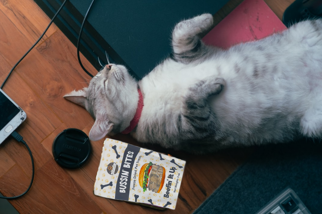 Beef Liver - Single Ingredient, High Value Freeze-Dried Training Treats for Dogs & Cats