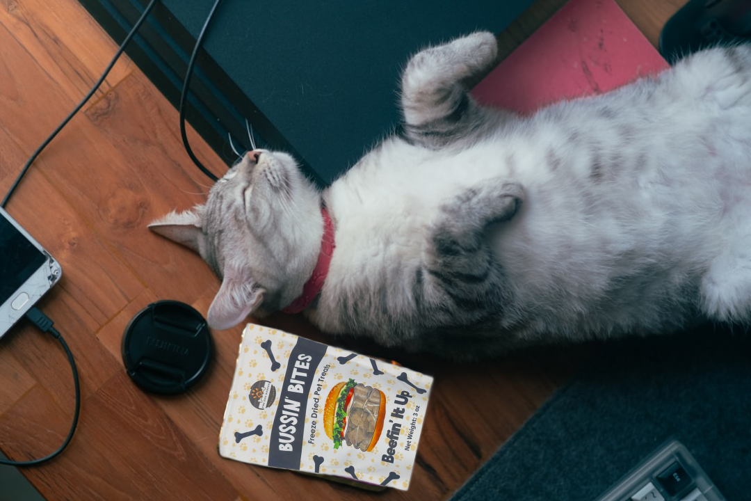 Beef Liver - Single Ingredient, High Value Freeze-Dried Training Treats for Dogs & Cats