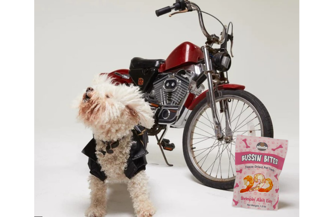 Shrimp - Single Ingredient, High Value Freeze-Dried Training Treats for Dogs & Cats