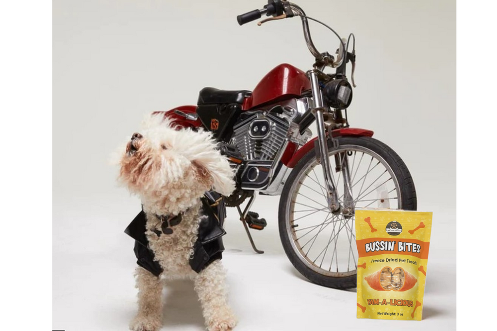 Sweet Potato - Single Ingredient, High Value Freeze-Dried Training Treats for Dogs & Cats