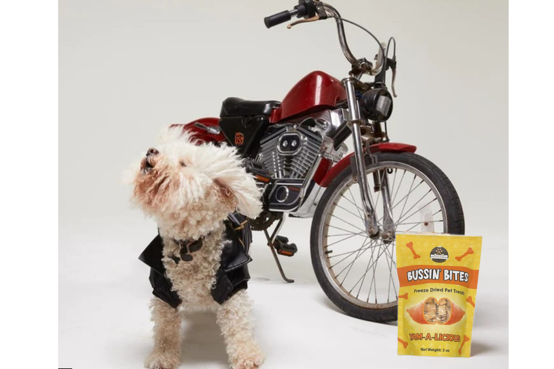 Sweet Potato - Single Ingredient, High Value Freeze-Dried Training Treats for Dogs & Cats