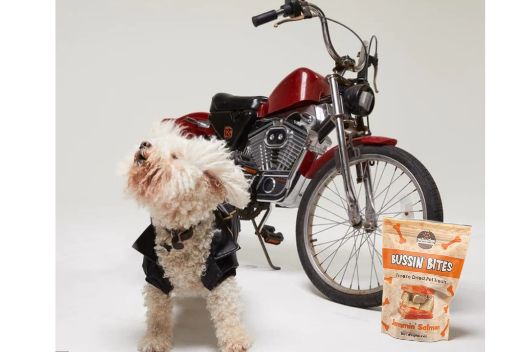 Salmon - Single Ingredient, High Value Freeze-Dried Training Treats for Dogs & Cats